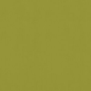 151.89 limettengrün