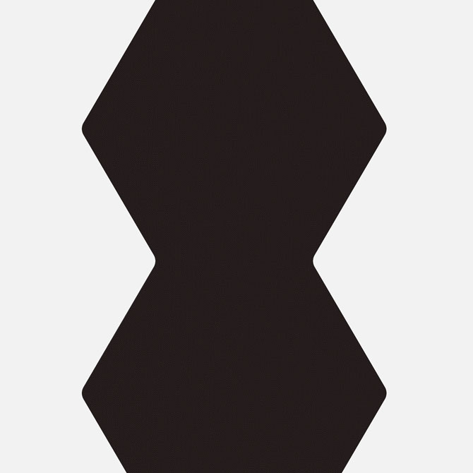 323.01 signalschwarz