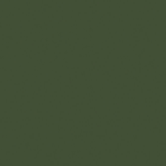 456.11 olivgrün